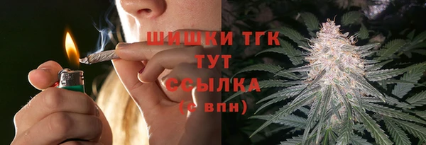 шишки Верея